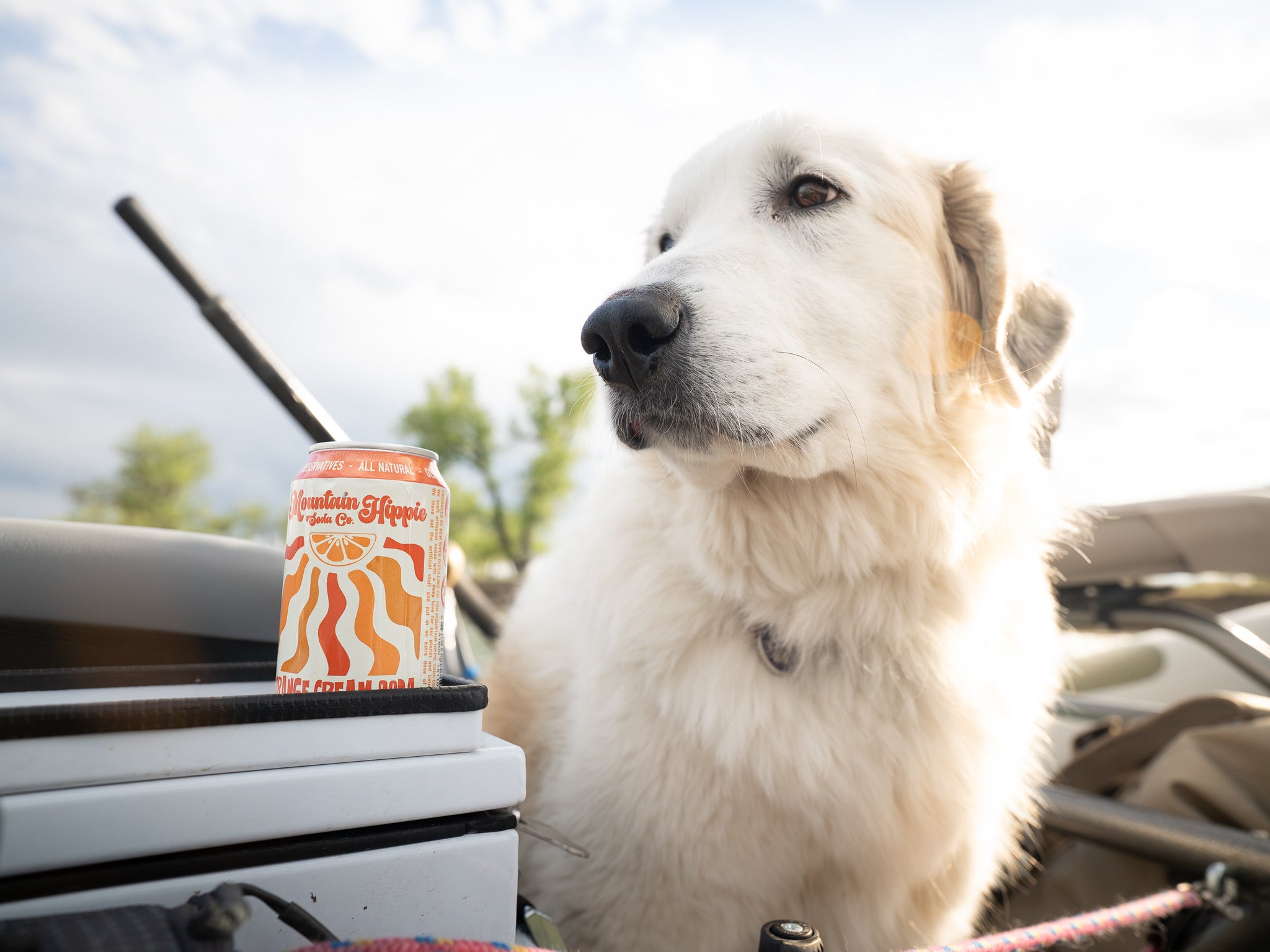 Orange Cream Soda | Mountain Hippie Soda Co.
